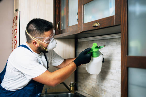Best Affordable Pest Control Services  in Troy, MI