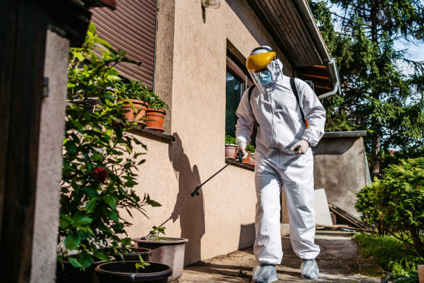 Best Pest Inspection Near Me  in Troy, MI