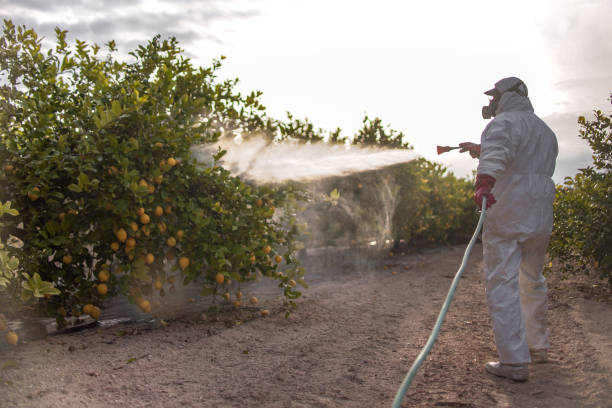 Best Commercial Pest Control Services  in Troy, MI