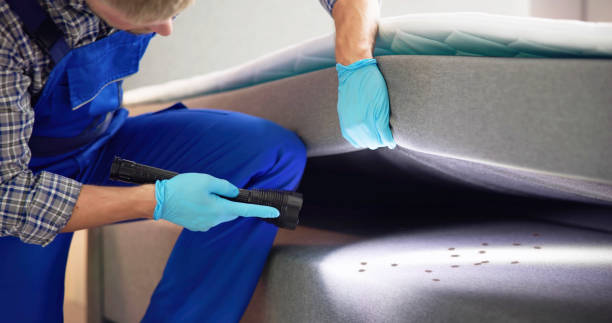 Best Residential Pest Control  in Troy, MI