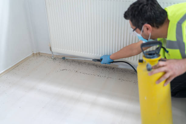 Best Emergency Pest Control  in Troy, MI